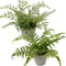 Briful 2PCS Fake Plants Potted Artificial Plants Greenery Faux Fern Eucalyptus Décor Plant for Indoor Home Office Bathroom Harmhouse Decoration...