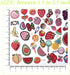 Embroidered Fruit Patches, Cute Fruit Iron on/Sew on Patches Applique for Clothes, Dress, Hat, Jeans, DIY Accessories (Pack of 40)...