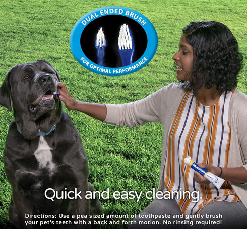Bluestem toothbrbluestem Pet Toothbrush Set - includes 2 Double-Sided Dog and Cat Tooth Brushes - Gentle Yet Effective Pet Teeth Cleaning Kit...