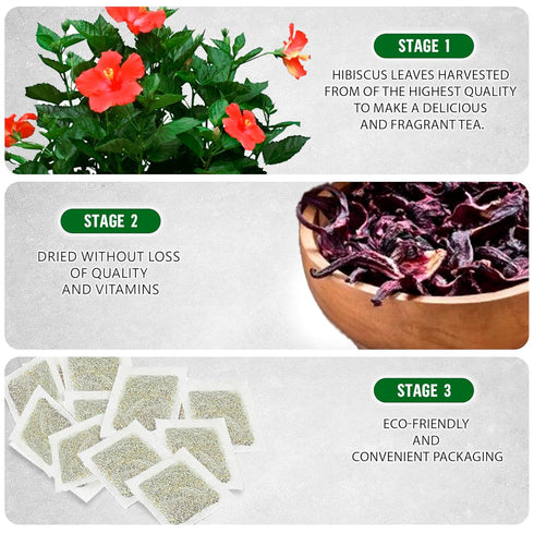 TeaDreamTea Hibiscus Tea Bags | 100 Bleach-Free Tea Bags | Caffeine Free | Dried Hibiscus Flowers | Hibiscus Flower Tea | Dried Flower Tea | Brew ...