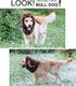 Onmygogo Funny Pet Moose Costumes for Dog, Cute Furry Pet Wig for Halloween Christmas, Pet Clothing Accessories (Bull, Size L)...