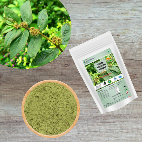 Amman Pacharisi | Euphorbia Hirta Powder 300 GM (10.58 OZ) pack of 1...
