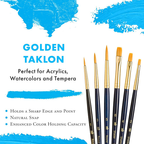 Princeton Real Value, Series 9100, Paint Brush Sets for Acrylic, Oil & Watercolor Painting, Syn-Gold Taklon (Rnd 1, 3, 5, Shader 2, 4, 6)...