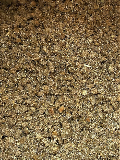 Arnica Flowers Dried | 6oz | salves ointment | Heterotheca inuloides | The Bloomin Herb Shoppe | Bulk...