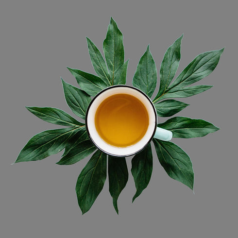 Irish Breakfast Tea, Loose Leaf Black Tea, Caffeine, Hot & Iced Tea | 8oz Bulk Tea, 80-100 Cups - Premium Black Loose Leaf Tea Kenyan, Assam, 100%...