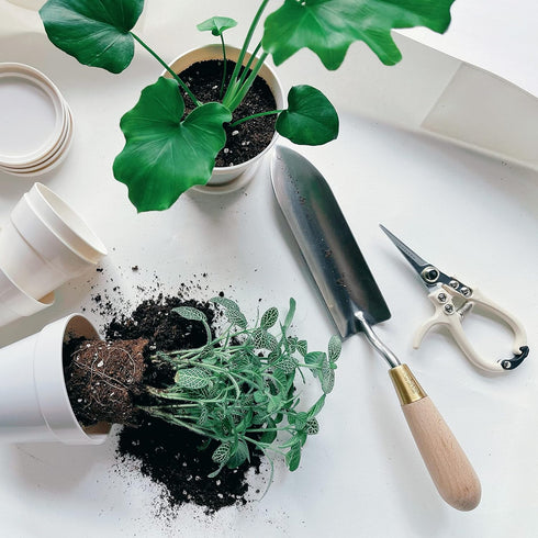 Plant Pruning Shears Garden Trimming Scissors Precision Hand Pruner Herb Snips Flower Clippers Bonsai Trimmers Straight Sharp Blade Tapered Tip Er...