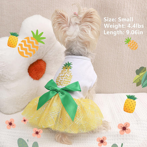 Dog Dress Dog Dresses for Small Dogs Girl Mesh Puppy Dress Summer Dog Clothes Yorkie Chihuahua Teacup Outfits Clothing Apparel Pet Cat Princess Dr...