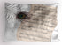 Lunarable Peacock Pillow Sham, Music Notes Sheet Texture with Peacock Feather Evil Eye on Antique Style Musical Theme, Decorative Standard Queen S...