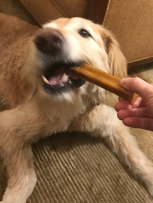 Authentic Himalayan Yak Cheese for Dogs - XLarge (Pack of 1) - Sourced from Pristine Himalayan Foothill, Rawhide-Free, NO preservatives...