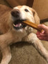 Authentic Himalayan Yak Cheese for Dogs - XLarge (Pack of 1) - Sourced from Pristine Himalayan Foothill, Rawhide-Free, NO preservatives...