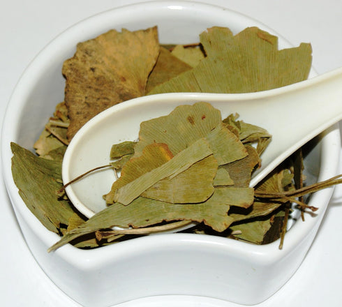 Herba Organica Ginkgo Biloba Leaf - Ginkgo Biloba L - Herbal Tea (100g)...