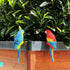 Realistic Parrot Sculpture Resin Hanging Parrots Garden Statues Lifelike Bird Figurines Landscape Ornament Patio Yard Lawn Figurine Tree Decor(Blu...