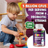 Built by Nature Kids Probiotic Gummies - 6 Diverse Probiotic Strains - Digestive & Immune Support - Chewable Kid Probiotic Gummy Supplement - No R...