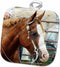 3D Rose Western Horse Show Pot Holder, 8 x 8...