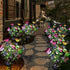 Solar Garden Lights - Solar Outdoor Lights Butterfly Design 82 LED Firefly Lights, Solar Stake Lights Waterproof IP65 & Auto ON/Off, Outdoor Decor...