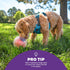 Outward Hound Nina Ottosson Topsy Treat Ball Dog Puzzle Interactive Treat Puzzle Dog Enrichment Dog Toy, Level 1 Beginner, Orange...
