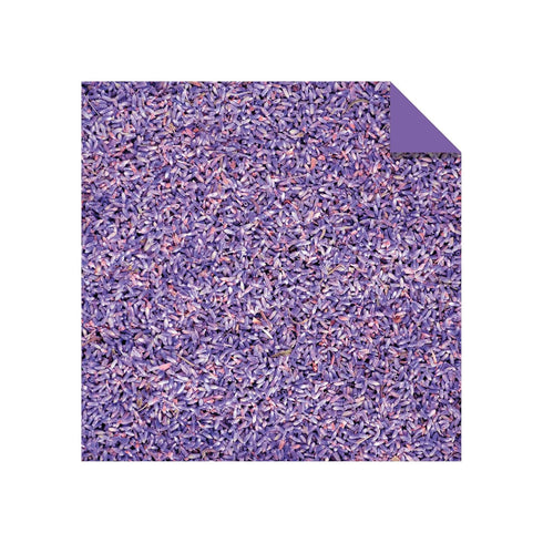 Origami Paper 200 sheets Nature Patterns 6" (15 cm): Tuttle Origami Paper: High-Quality Double Sided Origami Sheets Printed with 12 Different Desi...