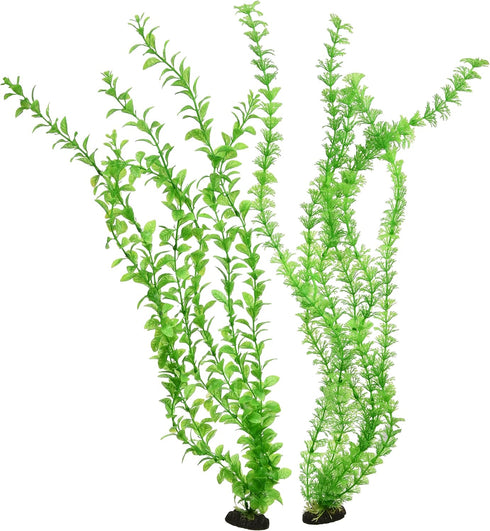Penn-Plax Aqua-Plants Plastic Aquarium 2 Piece Plant Bundle – Realistic Appearance and Gentle Texture – Green – 24” Height...