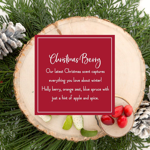 Scentsicles Christmas Berry Scented Christmas Ornaments with Hooks - 1 Bottle (6 Sticks Total)...