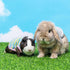 Guinea Pig Clothes - 2 Pack Cute Small Animal Vest Clothes for Rat Rabbit Chinchila ferret Kitten Chihuahua MiniDogs - Soft Breathable T-Shirt Pet...