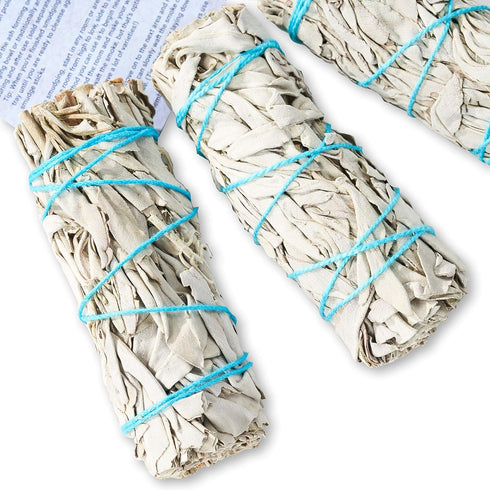 6 Pack White Sage ~ Sage Smudge Sticks for Smudging & Cleansing Energy ~ Bulk/Wholesale ~ Sustainably Grown (6 Pack)...