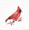 Luca-S Counted Cross Stitch kit Cardinal 10x9cm...
