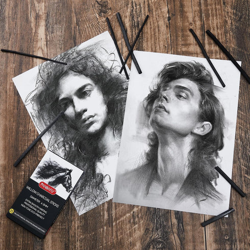 PANDAFLY Willow Charcoal Sticks, Soft, Black Artist Vine Charcoal for Artists, Beginners, Students, Great for Sketching, Drawing, Shading and Fine...
