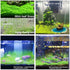 3 Aquarium Plant Se-e-d Combo, no ArtificiaL, Fresh Water Grass for Fish Tank Terrarium Dwarf Carpet,Universal substrate, not Plastic 11aab...