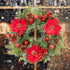 Adeeing 16 Inch Christmas Wreath, Outdoor Christmas Wreath with Red Artificial Poinsettia Flowers Ball Ornaments Pine Cones Berries for Door Wall ...