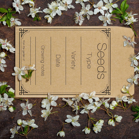 Teling 100 Pcs Let Love Grow Packets Unfilled Kraft Wedding Favors Packets Self Adhesive Rustic Envelopes Small Flower Storage Packets Retro Party...