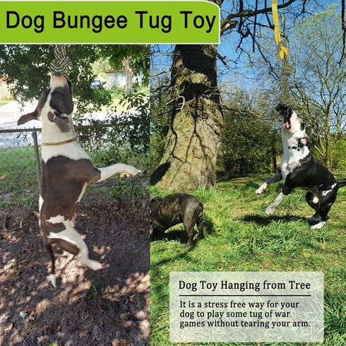 Dog Bungee Tug Toy, Dog Toy Hanging from Tree, Durable Interactive Dog Rope Toy with Chew Lure Toys, Outdoor Tether Tug of War for Small Medium La...