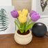 Lily's Lyric Flower Crochet Kit | Tulip Flowerpot | Step-by-Step Video Tutorial for Adults Teenagers | DIY Home Decoration Craft Gift Idea Purple&...