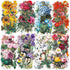 Knaid 100 Pieces Vintage Flower Stickers Set - Big 3.4" Waterproof Clear Botanical Floral Journaling Sticker for Scrapbooking Junk Journal Supplie...