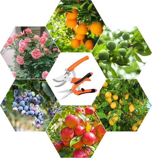 2 PCS Garden Pruning Shears, Pruning Shears for Gardening, Stainless Steel Garden Shears, Gardening Shears, Gardening Scissors, Garden Tools...