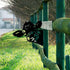 Peeping Cow Metal Art Farm Garden Decor Garden Fence Decoration Outdoor Decoration for Farmhouse,Yard,Lawn...