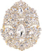 EVER FAITH Women's Oval Rhinestone Crystal Vintage Style Flower Cluster Brooch Pin for Banquet...