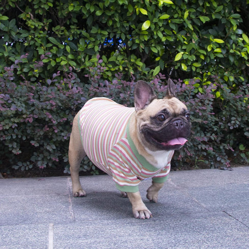 iChoue French Bulldog Summer Cooling High Stretchy Breathable Cotton T Shirts Vest Clothes for Medium Dogs Large Frenchie Pug English Pitbull Bost...
