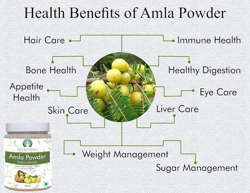 Amla Fruit Powder (Amalaki) 100 Gm | Raw and Non GMO | Rich in Antioxidant Vitamin C | Vegan | 100% Raw from India | Emblica Officinalis | Indian ...