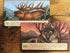 Leaf Board Game Season of The Bear Expansion by Weird City Games, Strategy Board Game...