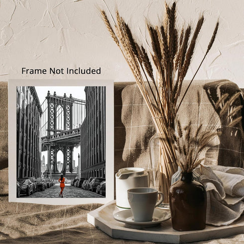 Posterizer 1 pcs-black and white photo-classic urban Manhattan scene 1-Photography Art Gift for Women, Fashionistas, Designer Fashion Fans- unfra...