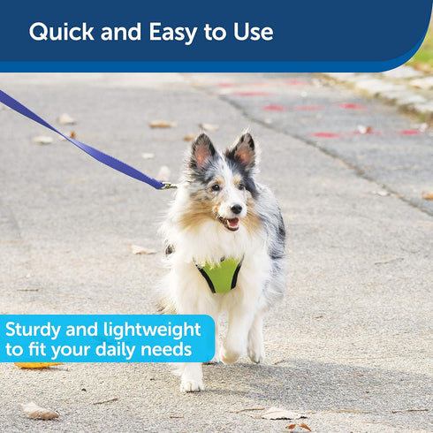 PetSafe Nylon Dog Leash - Strong, Durable, Traditional Style Leash with Easy to Use Bolt Snap - 1 in. x 4 ft., Royal Blue...