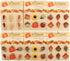 Buttons Galore Fall Friends 3D Buttons-Set of 6 Cards...