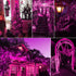 MYGOTO Purple Christmas Lights Outdoor, 2Pack 13Feet 50Count Halloween String Lights Connectable 120V Plug in for Outdoor Indoor Garden Party Chri...