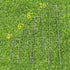 50 Pack 10x1 inch 11GA(0.12inch) Landscape Staples Garden Stakes Fence Netting Pins Ground Spikes Sod Cover Fabric Pegs Carbon Steel Black...