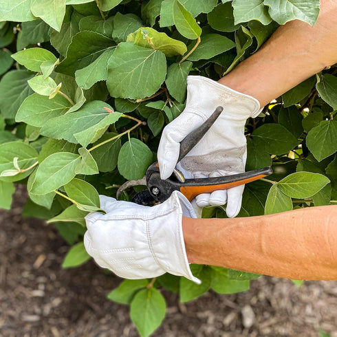 Wells Lamont Men's Full Leather Work Gloves with Reinforced Palm, Grain Goatskin, Elastic Wrist, X-Large (1720XL) ,Grey...