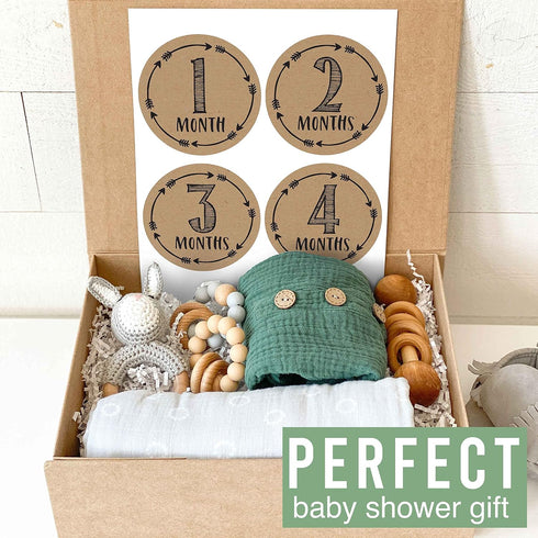 Hadley Designs 16 Monthly Baby Milestone Stickers - Rustic Baby Monthly Milestone Stickers, Baby Month Stickers For Baby Photo Props Newborn, Mont...