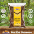 Rani Desi (Dalchini) Flat Cinnamon 3.5oz (100g) ~ All Natural | Vegan | Gluten Friendly | NON-GMO | Indian Origin...