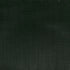 Winsor & Newton Professional Acrylic Paint, 60ml (2-oz) Tube, Hooker's Green...