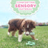 Nylabone Sensory Material Puppy Chew Toy Ring - Puppy Teething Toy for Boredom & Stimulation - Puppy Supplies - Chicken Flavor, Small/Regular (1 C...