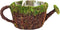 SuperMoss (55260 Deco Watering Can Planter Basket for Plants Home and Garden Decor Perfect Indoor and Outdoor Solutions for Plant Enthusiasts with...